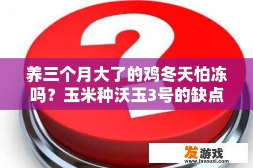 养三个月大了的鸡冬天怕冻吗？玉米种沃玉3号的缺点？