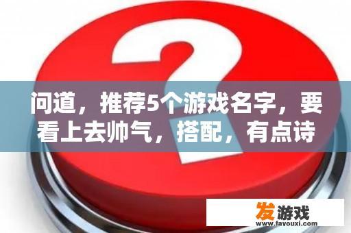 问道，推荐5个游戏名字，要看上去帅气，搭配，有点诗情画意的感觉？