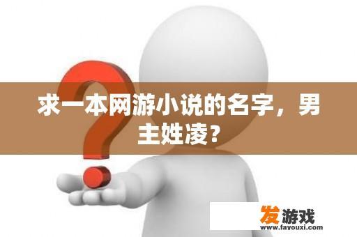 求一本网游小说的名字，男主姓凌？