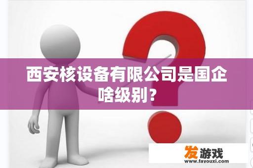 西安核设备有限公司是国企啥级别？