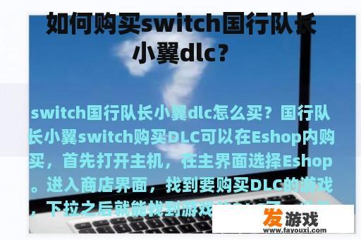 如何购买switch国行队长小翼dlc？