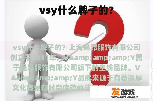 vsy什么牌子的？