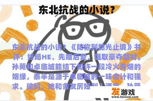 东北抗战的小说？