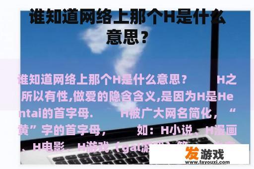 谁知道网络上那个H是什么意思？