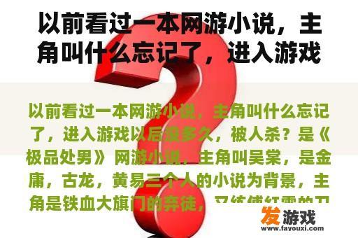 以前看过一本网游小说，主角叫什么忘记了，进入游戏以后没多久，被人杀？