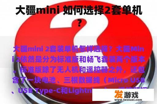 大疆mini 如何选择2套单机？