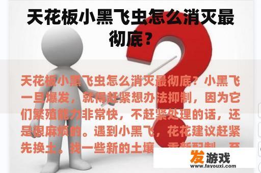 天花板小黑飞虫怎么消灭最彻底？
