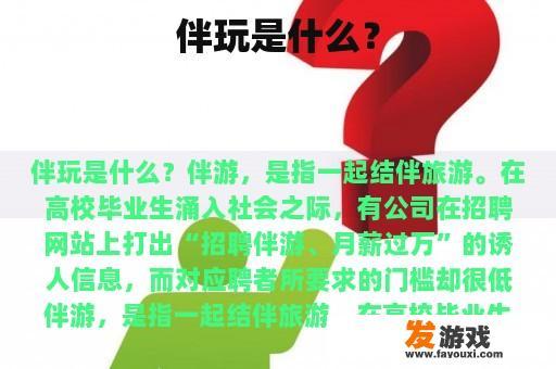 伴玩是什么？