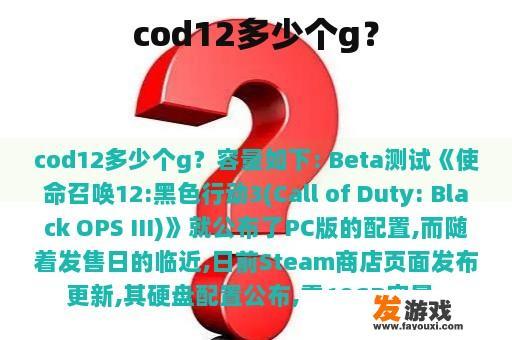 cod12多少个g？