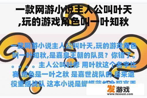 一款网游小说主人公叫叶天,玩的游戏角色叫一叶知秋,是嘉皇王朝的队员？