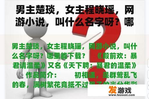 男主楚琰，女主程晓瑶，网游小说，叫什么名字呀？哪里能下载？