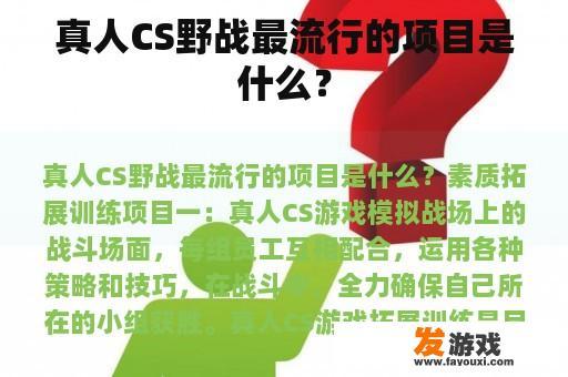 真人CS野战热门项目
