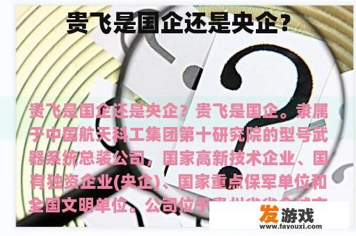 贵飞公司的企业性质与成就
