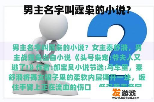 男主名字叫霆枭的小说？