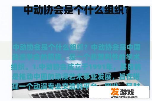 中动协会是个什么组织？