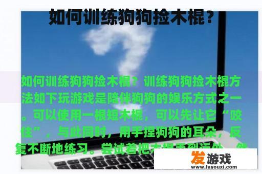 如何训练狗狗捡木棍？
