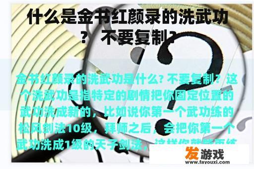 什么是金书红颜录的洗武功？ 不要复制？