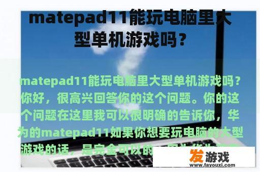 matepad11能玩电脑里大型单机游戏吗？