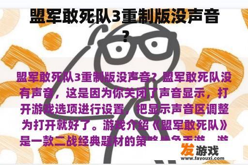 盟军敢死队3重制版没声音？