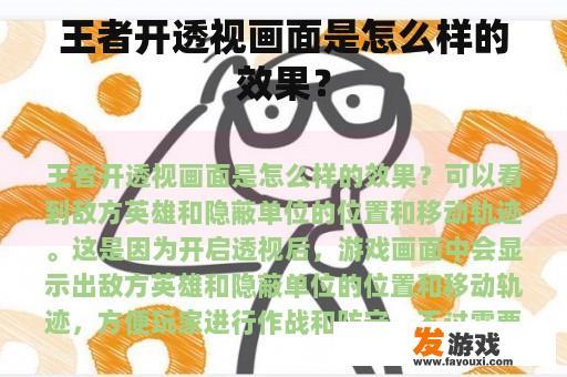 王者开透视画面是怎么样的效果？