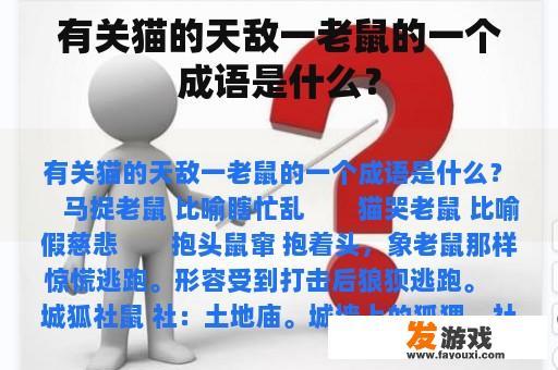 有关猫的天敌一老鼠的一个成语是什么？