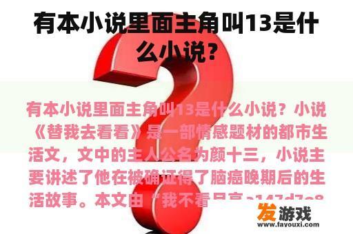 有本小说里面主角叫13是什么小说？