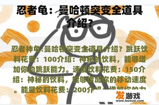 忍者龟：曼哈顿突变全道具介绍？