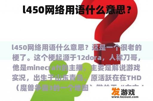 l450网络用语什么意思？