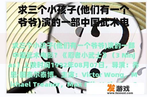 求三个小孩子(他们有一个爷爷)演的一部中国武术电影？