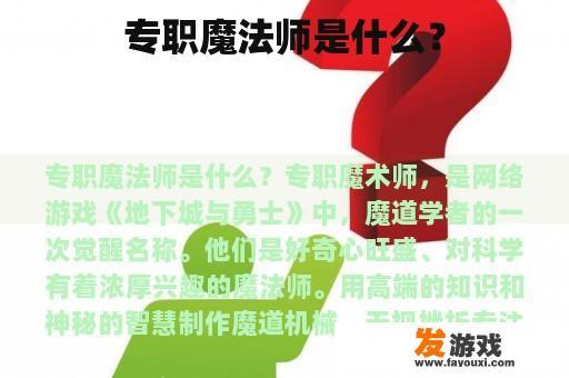专职魔法师的定义与角色