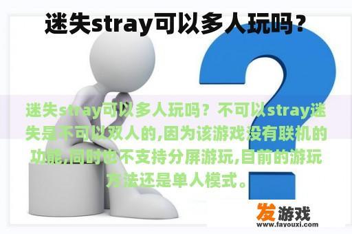 迷失stray可以多人玩吗？