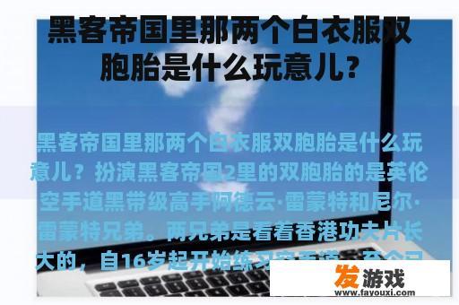 黑客帝国里那两个白衣服双胞胎是什么玩意儿？
