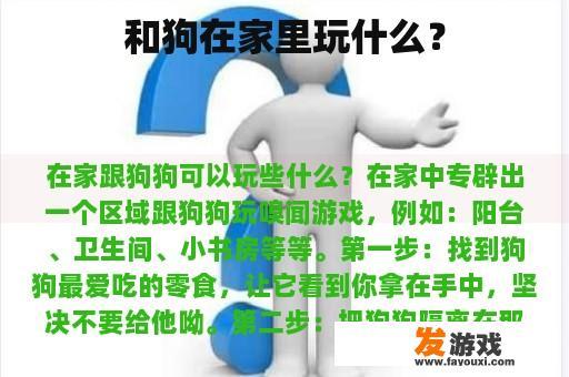 和狗在家里玩什么？