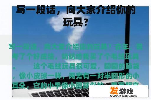 写一段话，向大家介绍你的玩具？