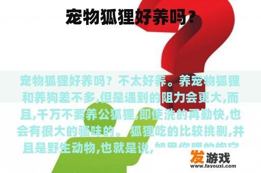 宠物狐狸好养吗？