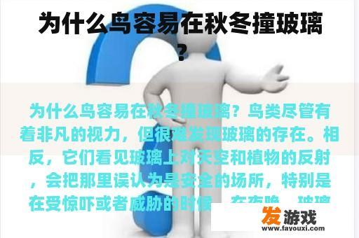 为什么鸟容易在秋冬撞玻璃？