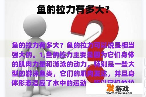 鱼的拉力有多大？