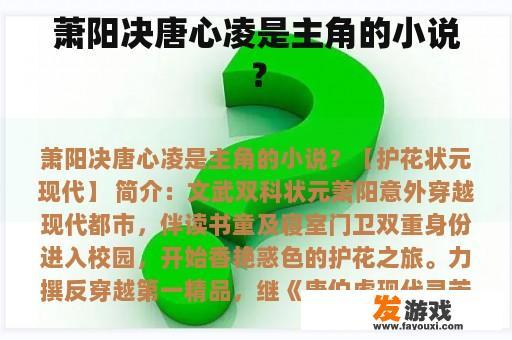 萧阳决唐心凌是主角的小说？