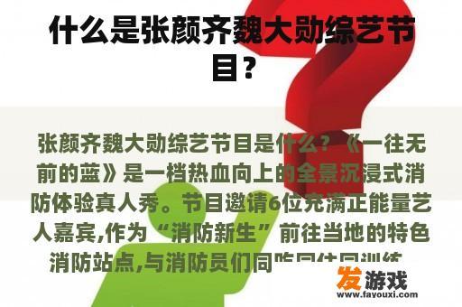 什么是张颜齐魏大勋综艺节目？