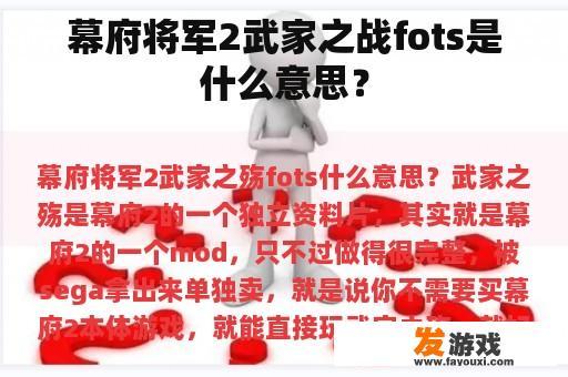 幕府将军2武家之战fots是什么意思？