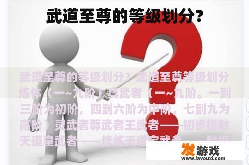 武道至尊的等级划分？