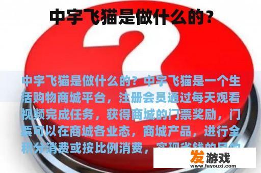 中宇飞猫是做什么的？