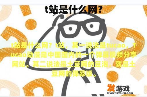 t站是什么网？