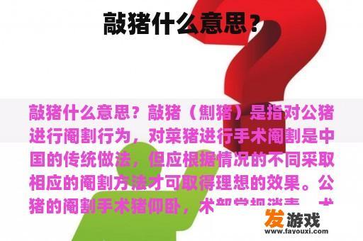 敲猪什么意思？