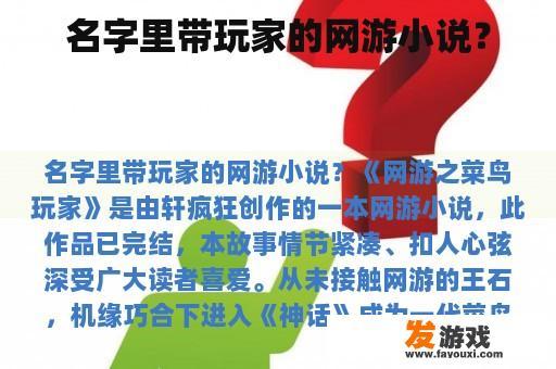 名字里带玩家的网游小说？