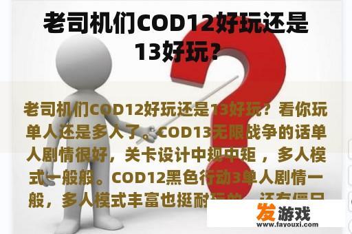 老司机们COD12好玩还是13好玩？