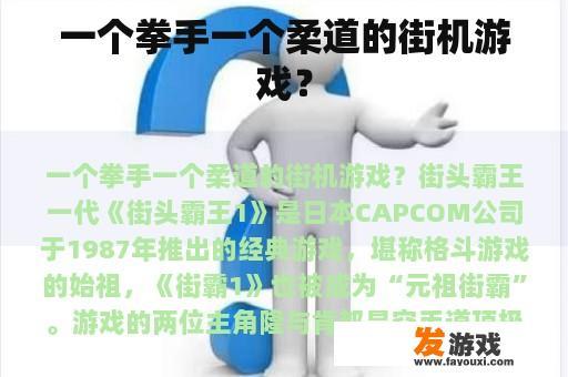一个拳手一个柔道的街机游戏？