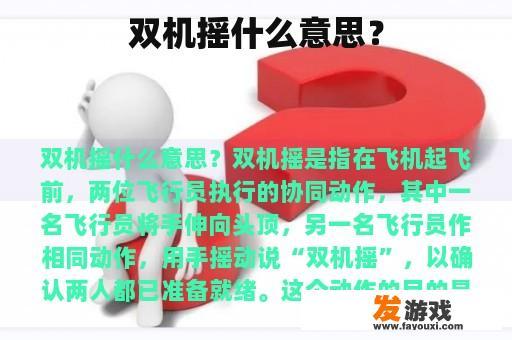 双机摇什么意思？