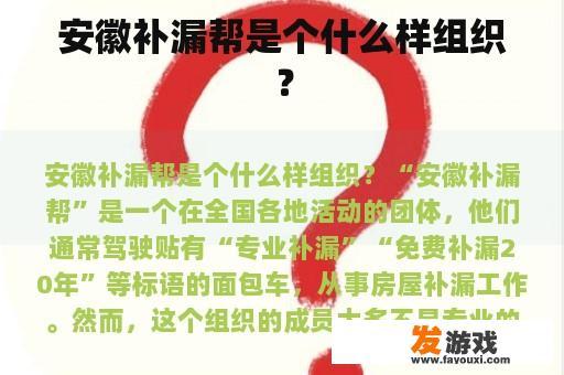 安徽补漏帮是个什么样组织？