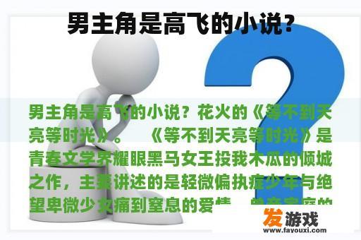 一部以高飞为主角的小说